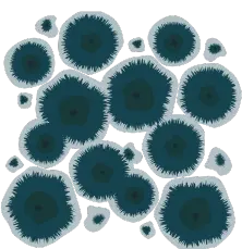 Mold Remediation service